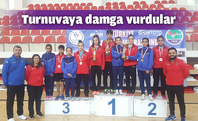 7 Takım, Türkiye şampiyonasında
