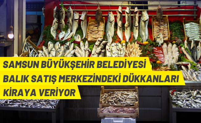 Samsun'da balık dükkanları kiraya verilecek